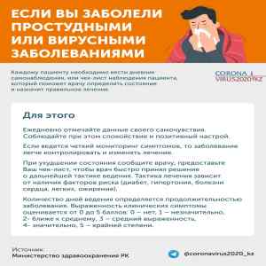 WhatsApp Image 2020 11 06 at 15.52.52 3